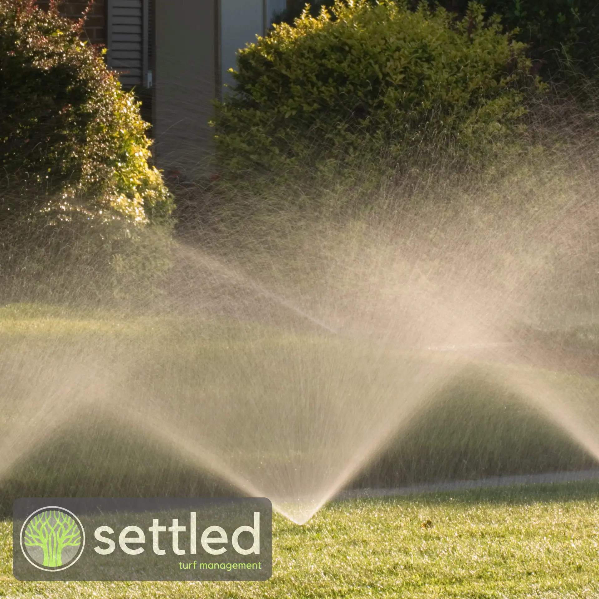 Irrigated lawn